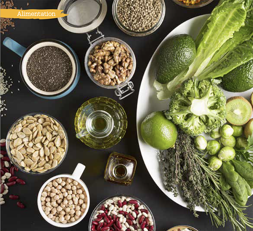 Protéines Végétales : L'Alternative Saine et Écologique pour une  Alimentation Équilibrée et Pleine de Vitalité !